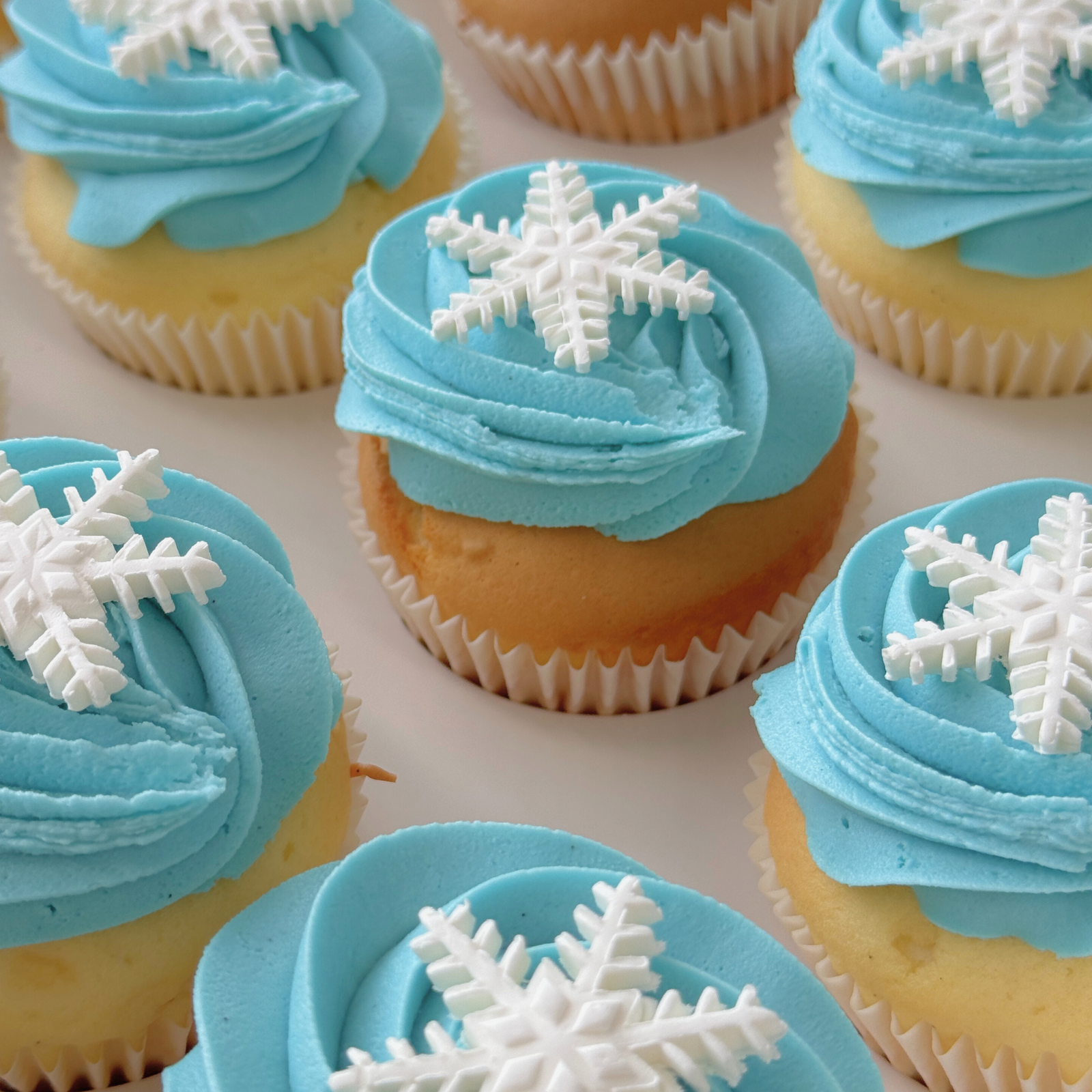 Frozen Light Blue Regular Gift Box - The Cupcake Queens