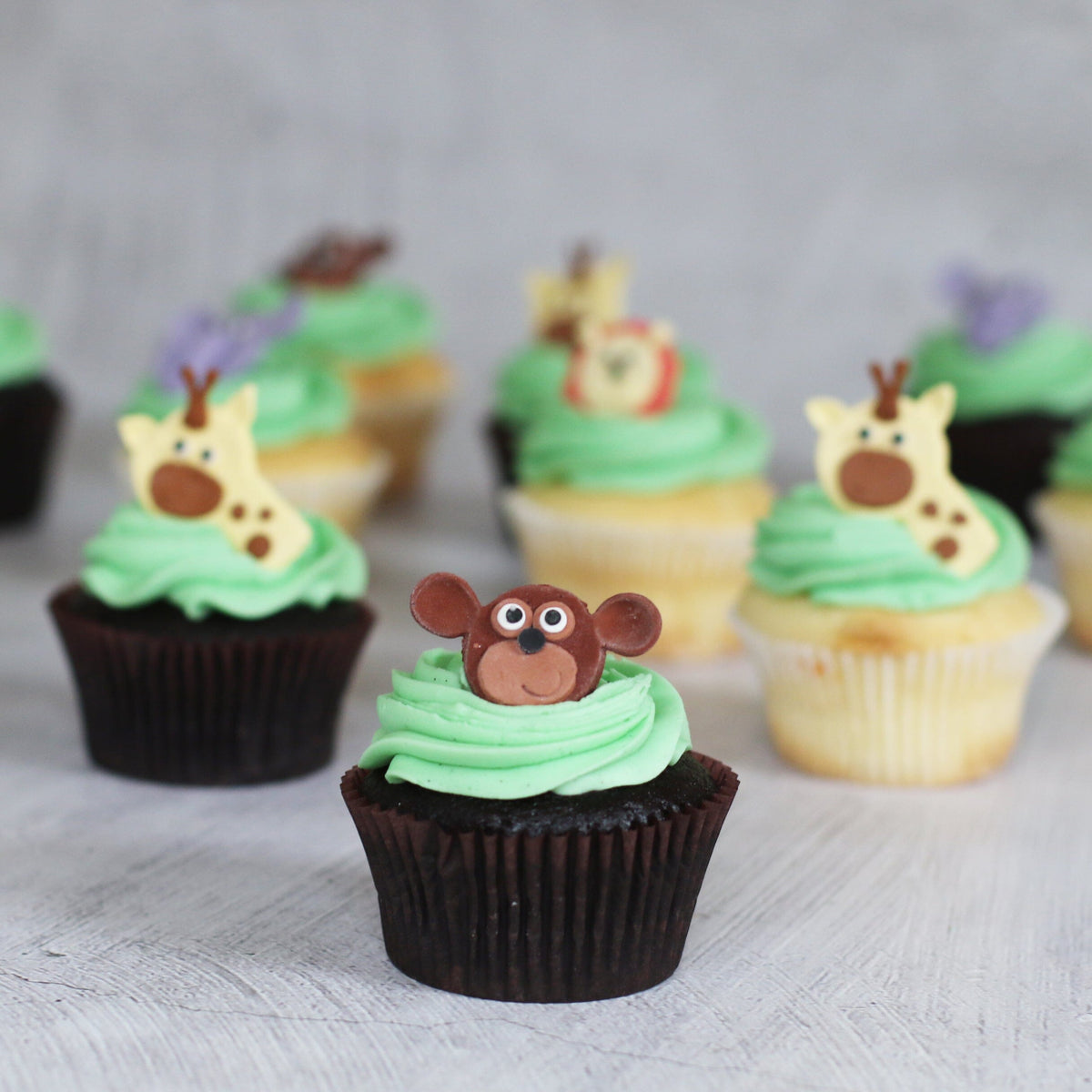 The Zoo Regular Gift Box-The Cupcake Queens