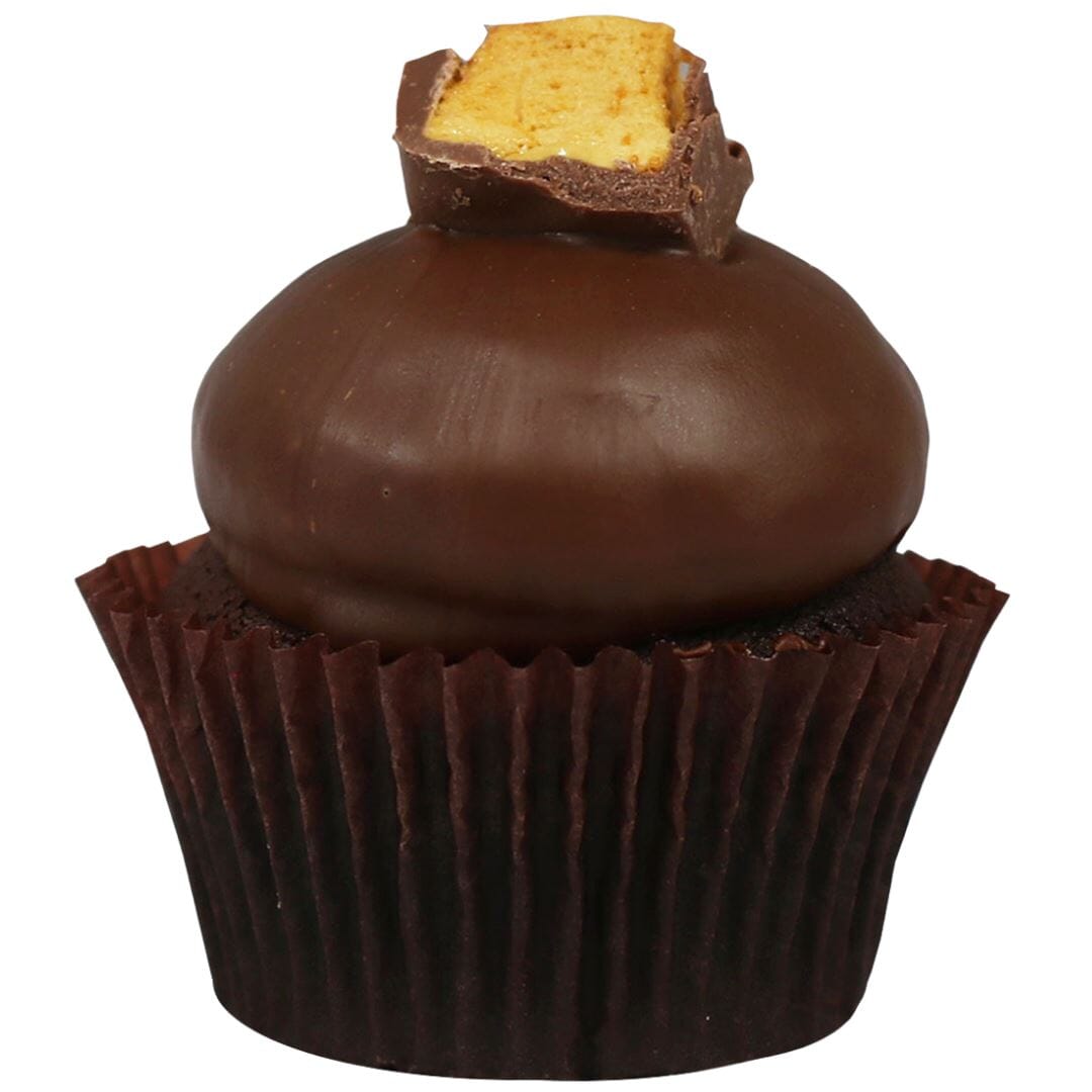 Regular Cupcakes The Cupcake Queens Choc Honeycomb 